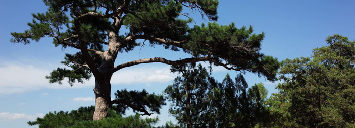 网上祭奠堂 - 缅怀逝者烈