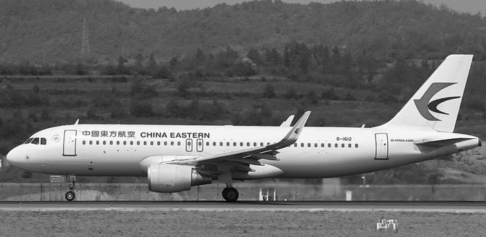 网上祭奠 - 东航mu5735