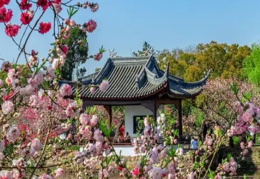 1709936130509470.jpg 2024清明节.jpg